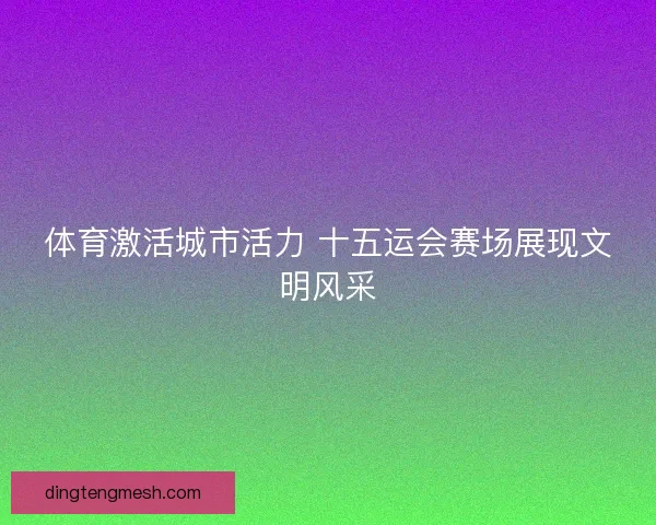 体育激活城市活力 十五运会赛场展现文明风采